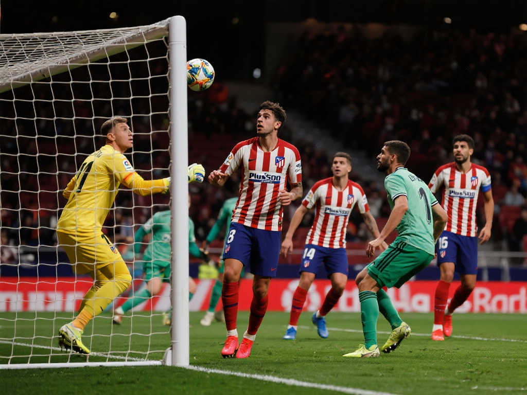 九游会J9 Sports-1